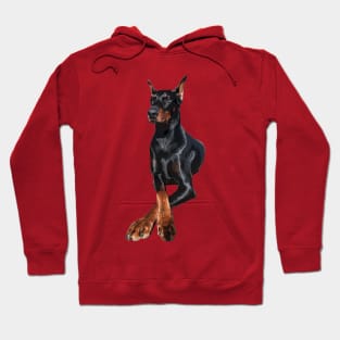 Doberman Dog Dobermann Pinscher Hoodie